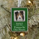Search for pet supplies Remembrance