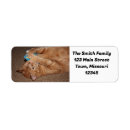Search for tigers return address labels Cute
