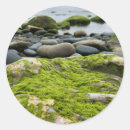 Search for ireland photography Green