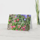 Search for for aunt birthday cards Nature