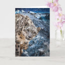 Search for snow leopard cards Big cats