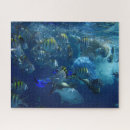 Search for saltwater fish puzzles Aquarium