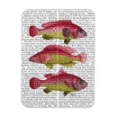 Search for fish magnets Fantasy