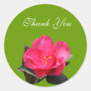 Search for camellia flower stickers Pink