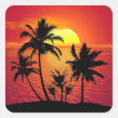 Search for palm tree silhouette stickers Sunset