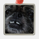 Search for teeth christmas tree decorations Animals