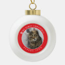 Search for kitten christmas tree decorations Keepsake
