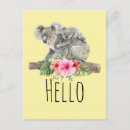 Search for koala baby postcards Wildlife