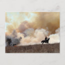 Search for rancher postcards Horse