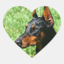 Search for dog valentine stickers Valentine's