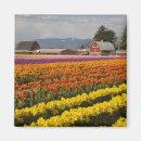 Search for wa magnets Judy wild