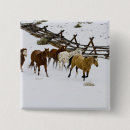 Search for running horses badges Horn