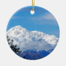 Search for denali national park christmas tree decorations Mountain