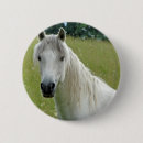 Search for stallion horse badges White
