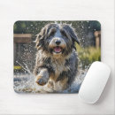 Search for wet mousepads Water