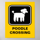 Search for poodle art posters Animal lover