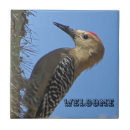 Search for black and white photo tiles Nature