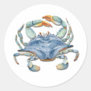 Search for sea creatures stickers Marine life