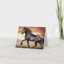Search for horse note cards Animal