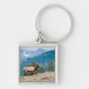 Search for cervus key rings Antlers