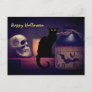 Search for hissing postcards Halloween