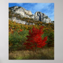 Search for virginia posters Inspirational
