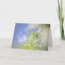 Search for blossom blank cards Blossoms