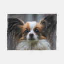 Search for spaniel photography Cute