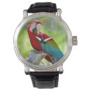 Search for beak accessories Colour