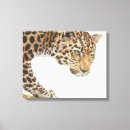 Search for wildcats canvas prints Leopard