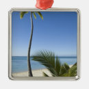 Search for polynesian or christmas tree decorations Catholic