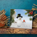 Search for cardinal plaques Snow