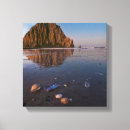 Search for wet canvas prints Reflection