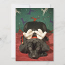 Search for sad christmas cards Photography