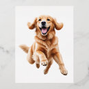 Search for golden retriever postcards Funny