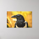 Search for pieds canvas prints Bird