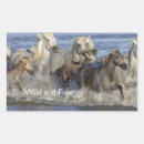Search for free horse stickers Freedom