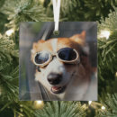 Search for corgi decor Cute