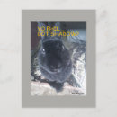Search for funny easter postcards Animal