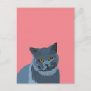 Search for cat lover postcards Kitten