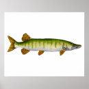 Search for pike fishing posters Freshwater