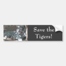 Search for tiger bumper stickers Big cats