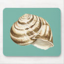 Search for conch electronics Teal background