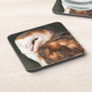 Search for cute owl coasters Wildlife