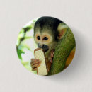 Search for monkey badges Primate