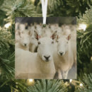 Search for sheep christmas tree decorations Field
