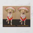 Search for flashing postcards Funny