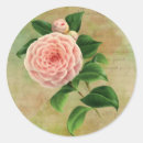 Search for camellia stickers Botanical