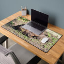 Search for turtle mousepads Big
