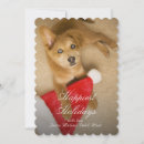 Search for high angle view cards Dog